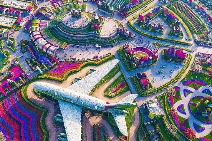 A stunning showcase of nature's artistry unfolds with 150 million flowers intricate designs and a remarkable airplane installation inviting travelers to explore extraordinary sights in Dubai.